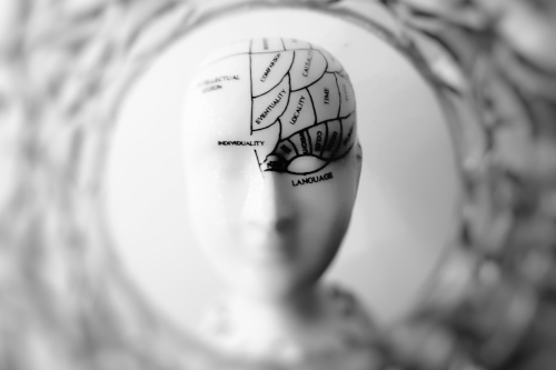 Cognitive Optimization